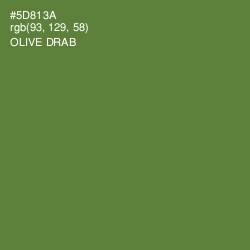 #5D813A - Olive Drab Color Image